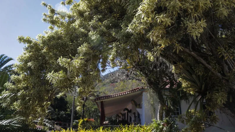 Além de moradia, local funcionava como laboratório do renomado paisagista.