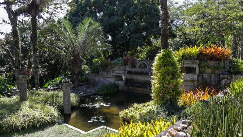 Mais de 3,5 mil espécies compõem os jardins.