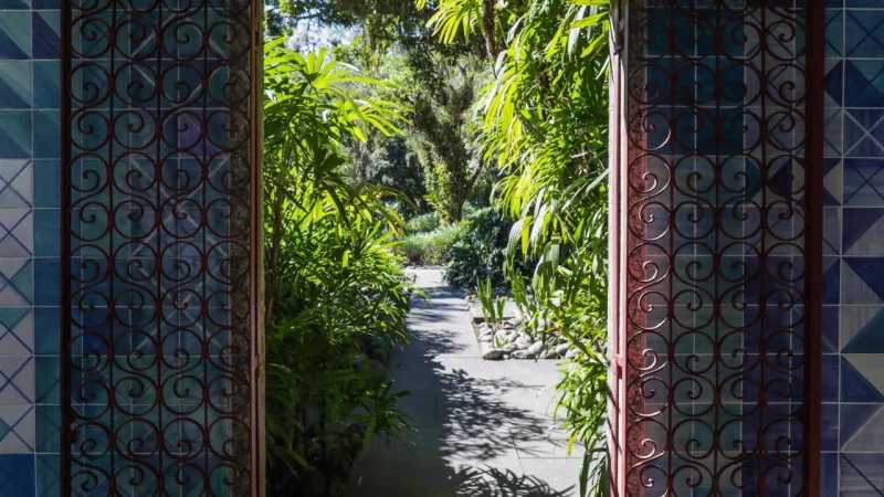 Há espécies raras e até listadas como em extinção no Sítio Burle Marx.