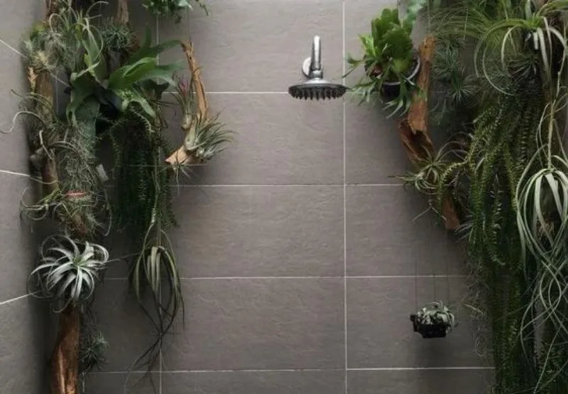 “Shower plants” leva conceito do “urban jungle” para dentro do box do chuveiro