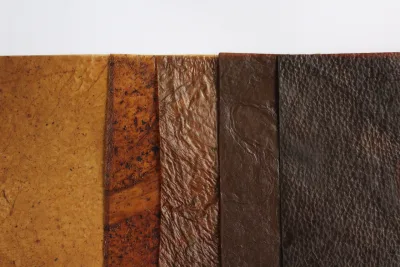 Estudantes brasileiros criam biotecido a partir da kombucha e ganham “Oscar do design”